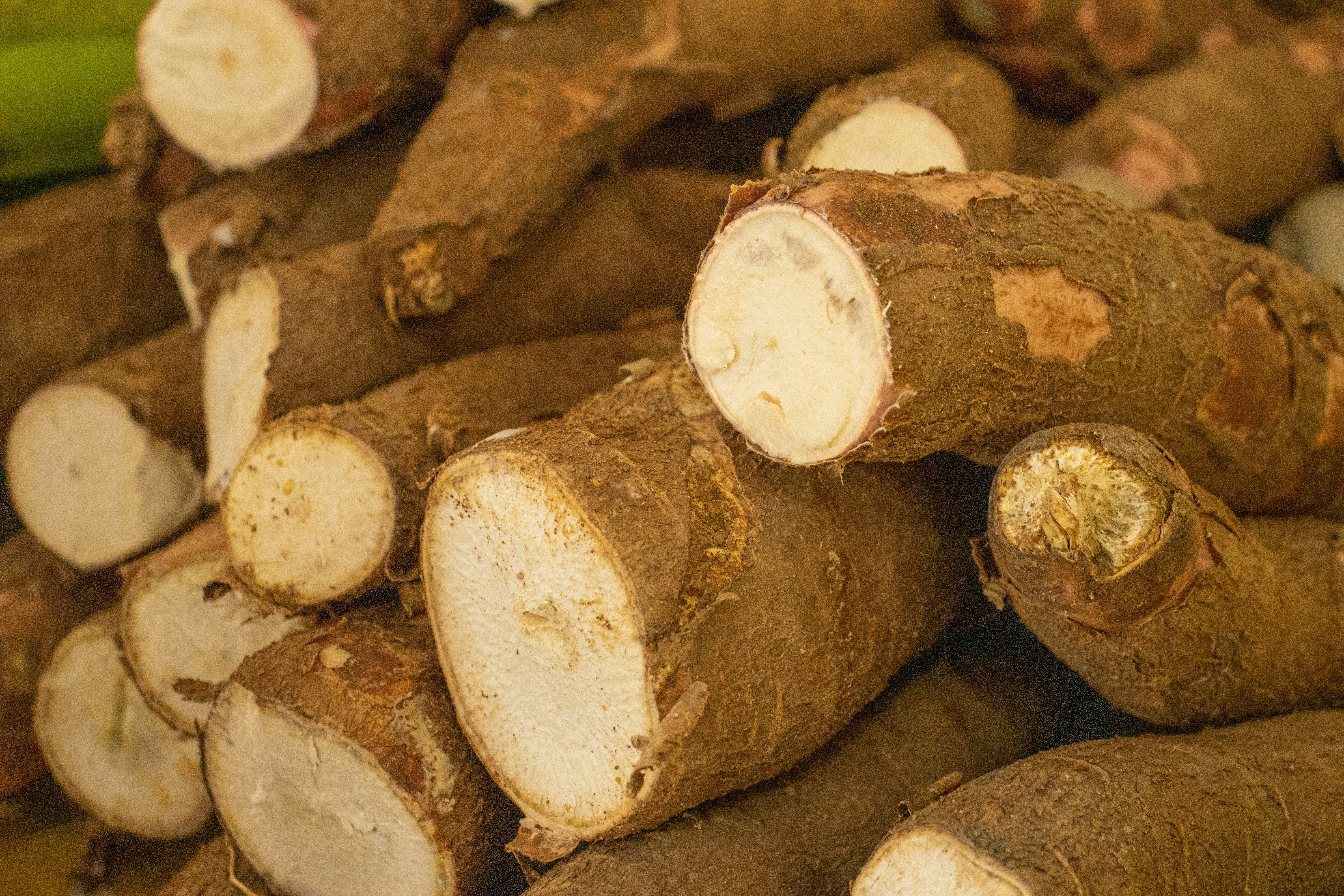 Cassava Products
