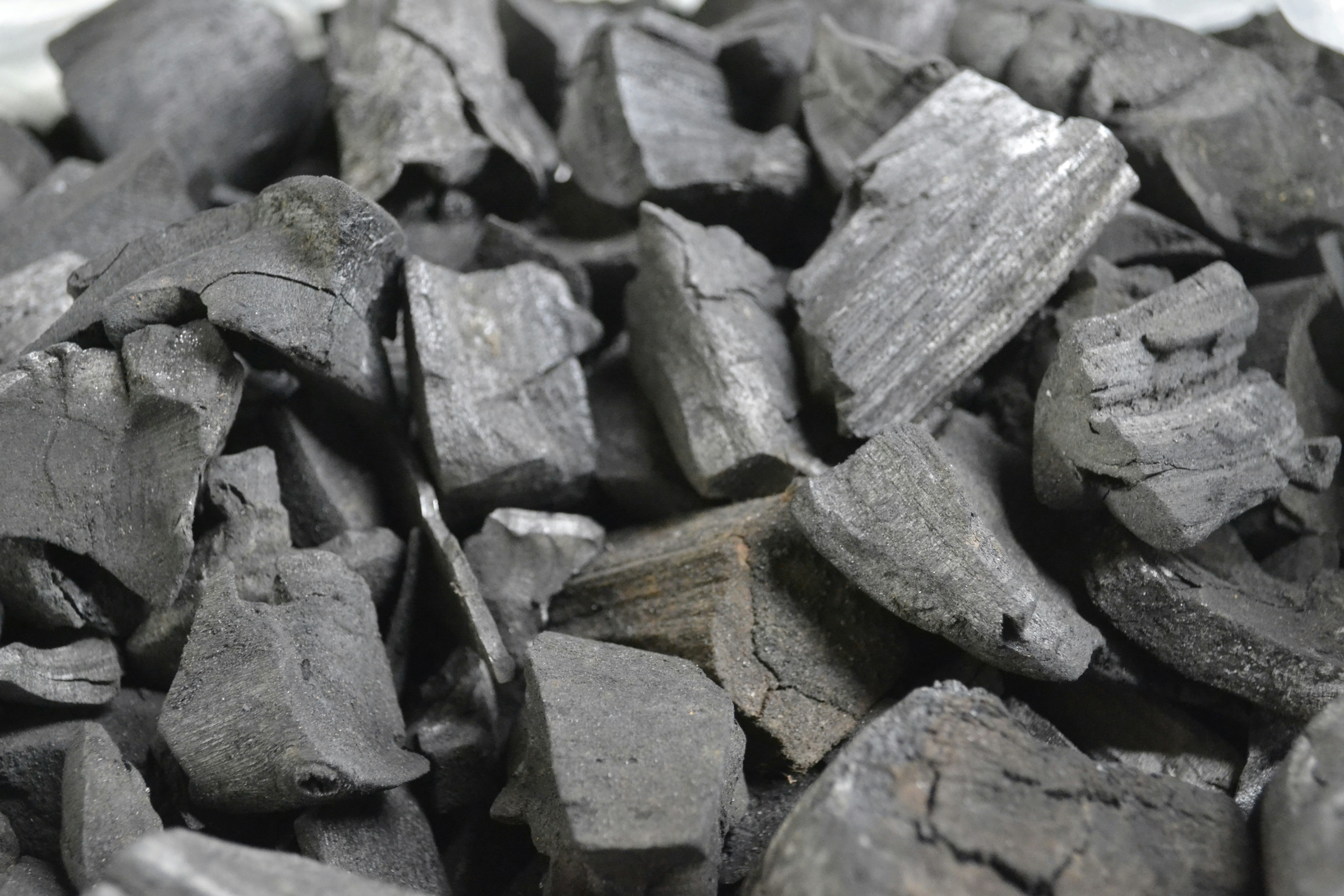 Charcoal & Briquettes