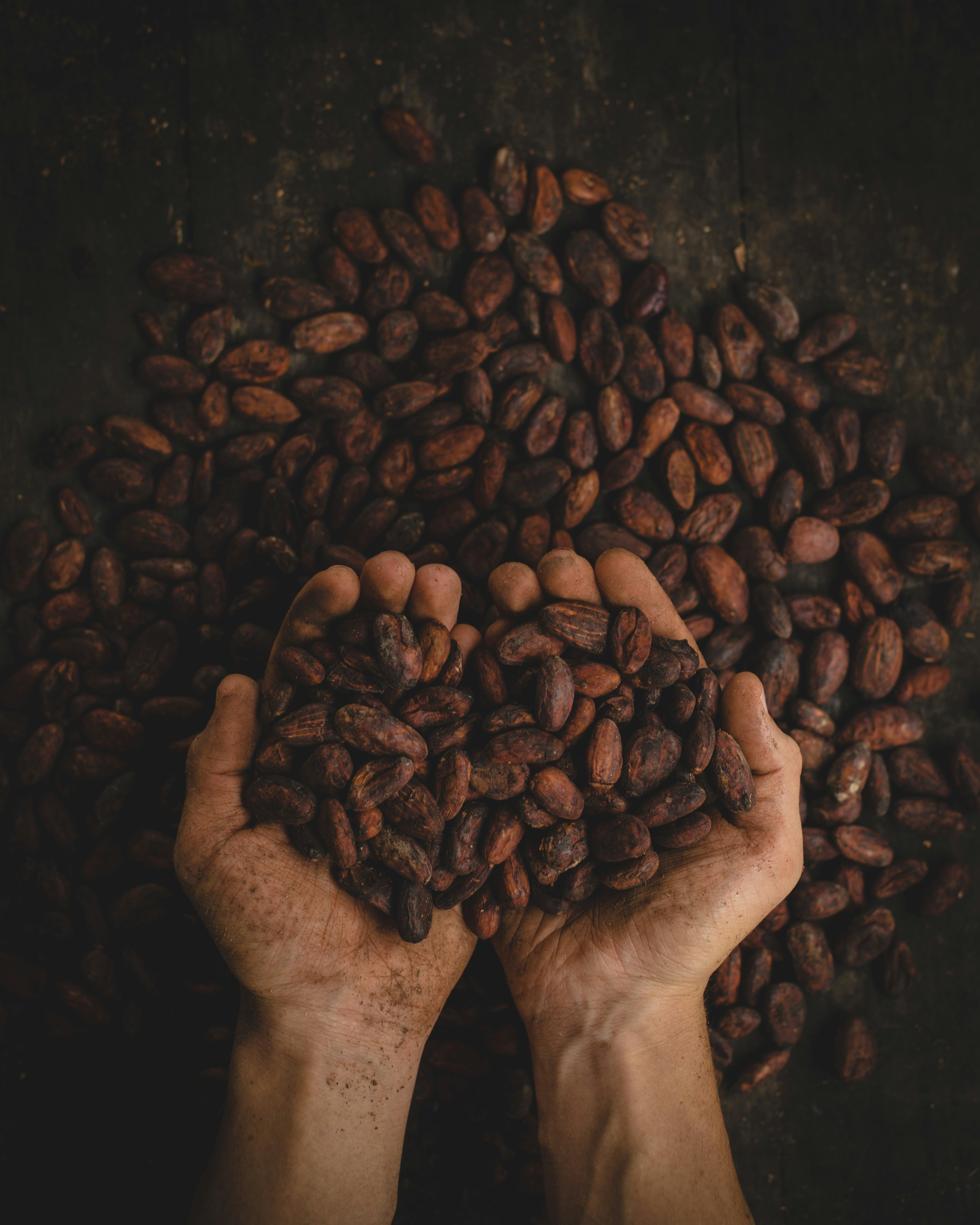 Cocoa Products