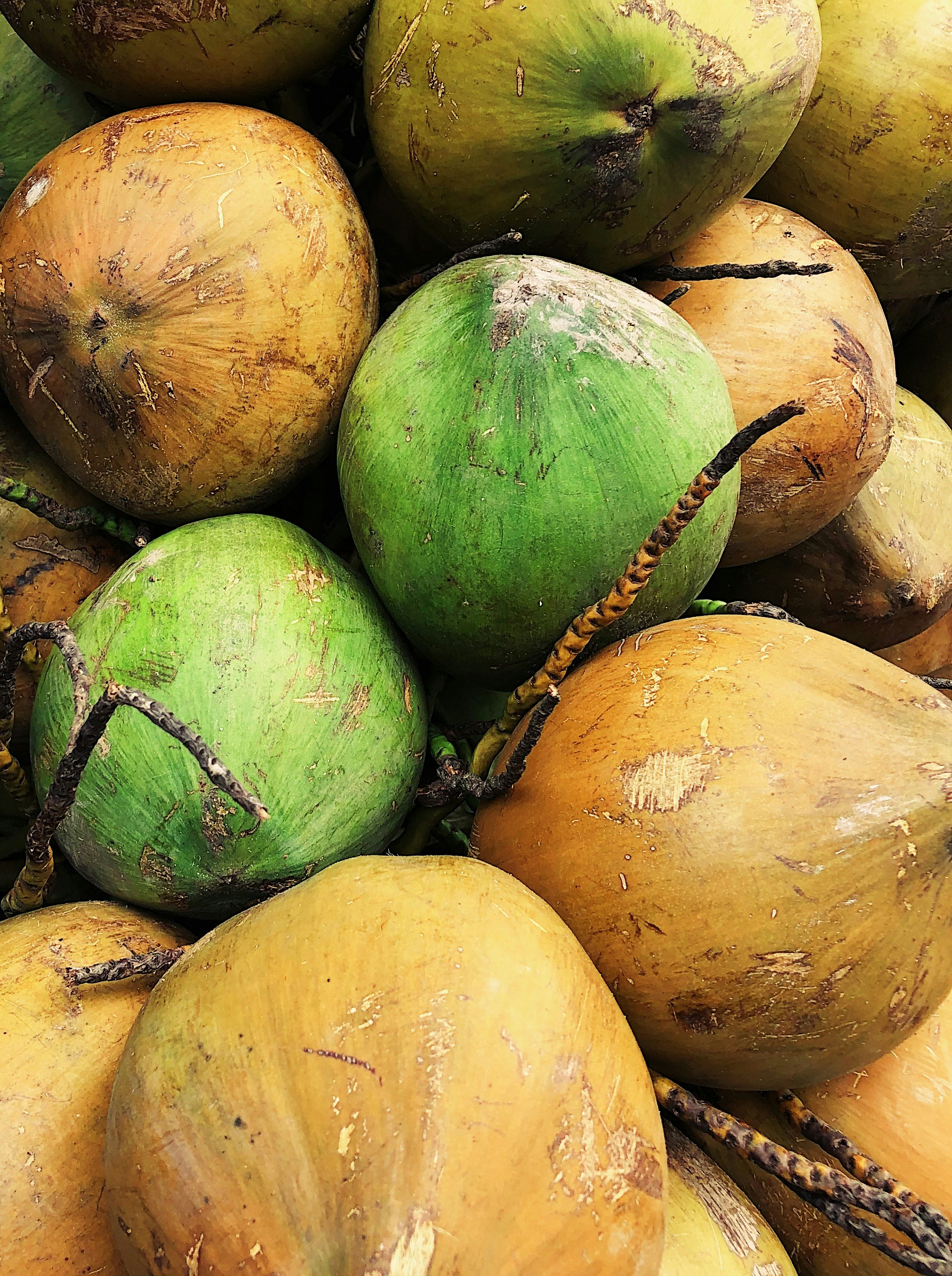 Coconut Products